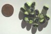 15 8mm Round Black with Olive White Millefiore